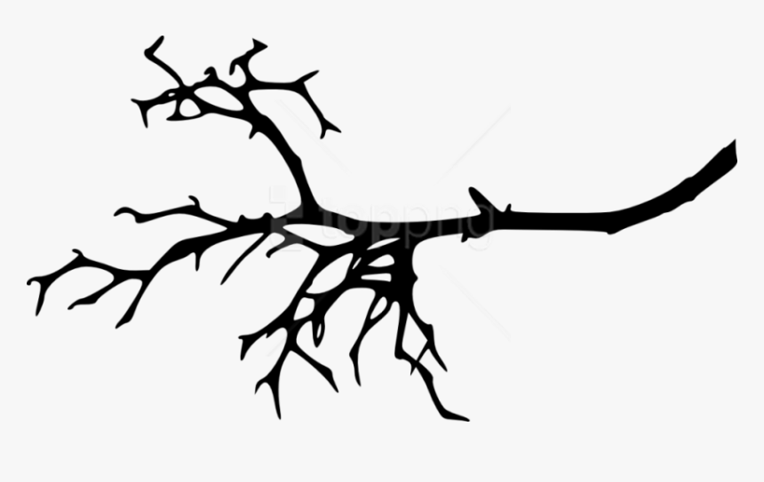 Transparent Tree Png Silhouette - Silhouette Tree Branch Clipart, Png Download, Free Download