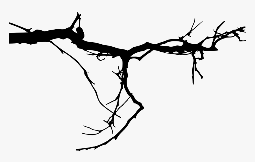 Twig Vector Branch, HD Png Download, Free Download
