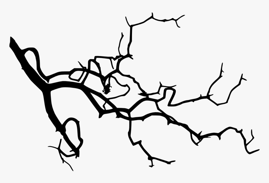 Branches Silhouette Tree Branches Png Clipart , Png - Tree Branches Silhouette Png, Transparent Png, Free Download