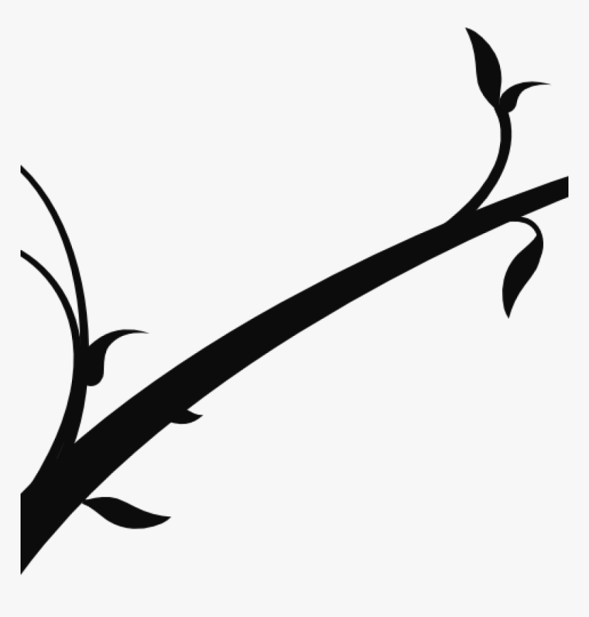 Transparent Tree Branch Silhouette Png - Branch Of Tree Black And White Clipart, Png Download, Free Download