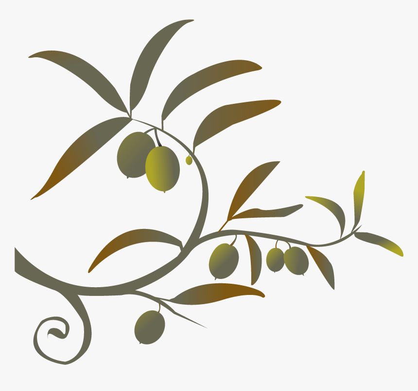 Deeply Connected - Transparent Transparent Background Clipart Olive Branch, HD Png Download, Free Download