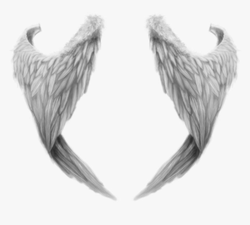 Fantasy Angel Wings - Realistic Angel Wings Drawing, HD Png Download, Free Download