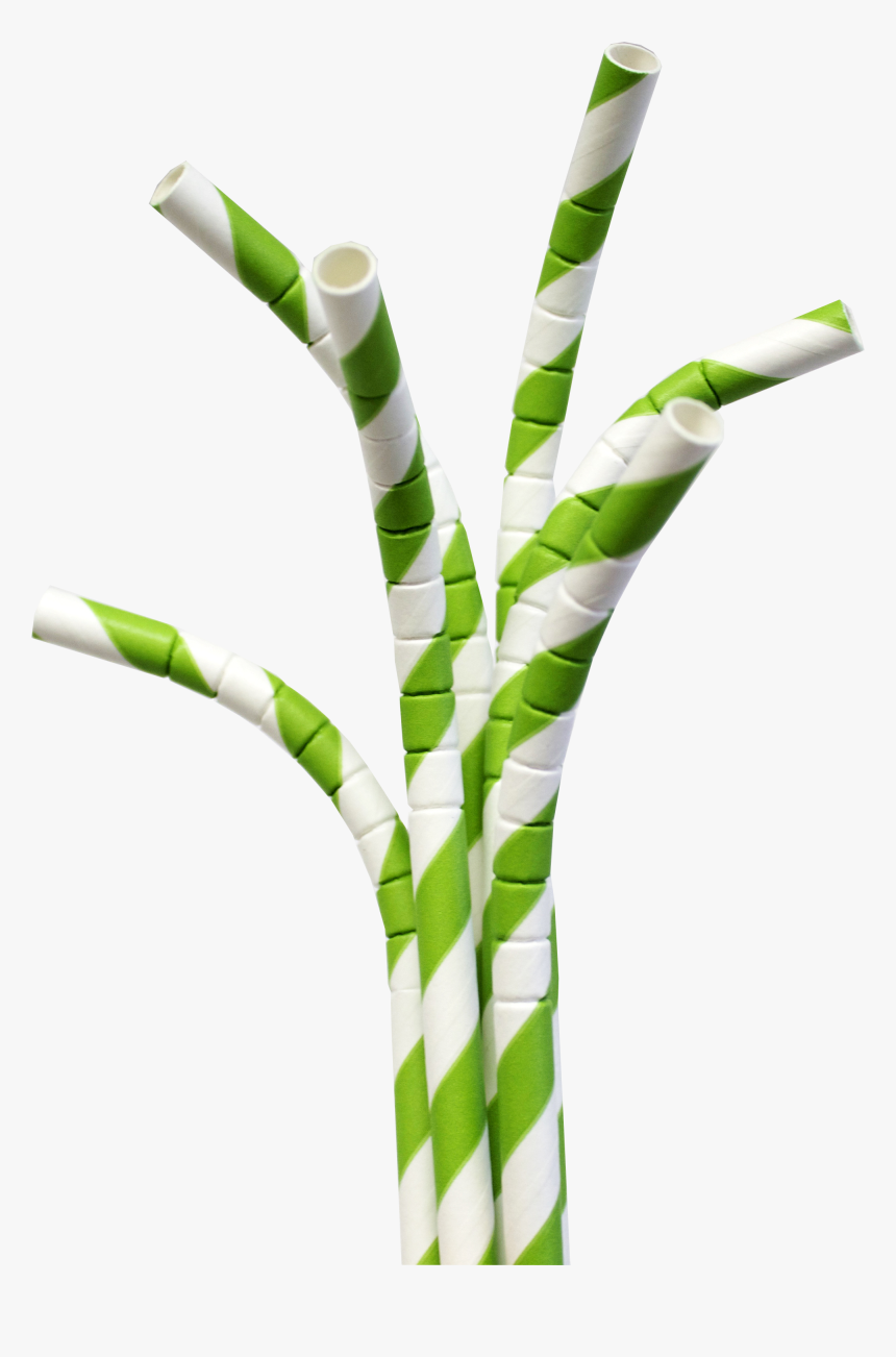 Planet Editor - Paper Straws No Background, HD Png Download, Free Download