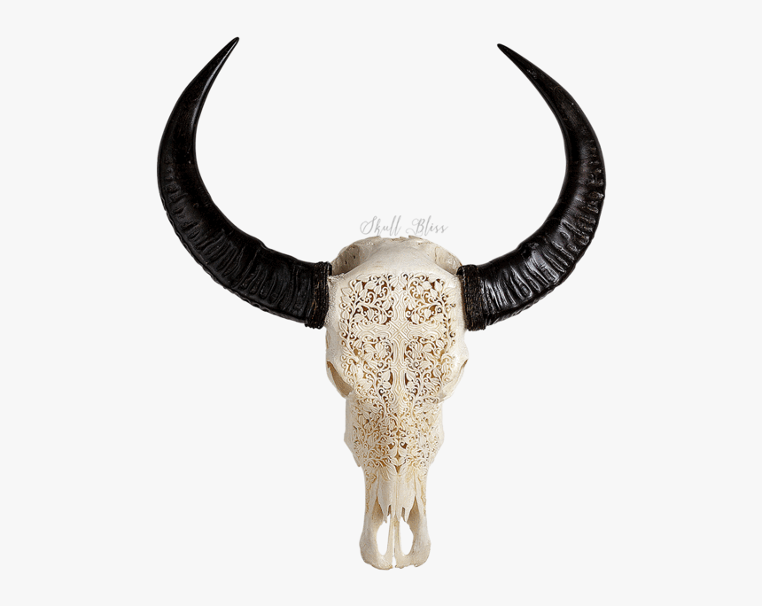 Carved Buffalo Skull - Buffalo Skull Png, Transparent Png, Free Download