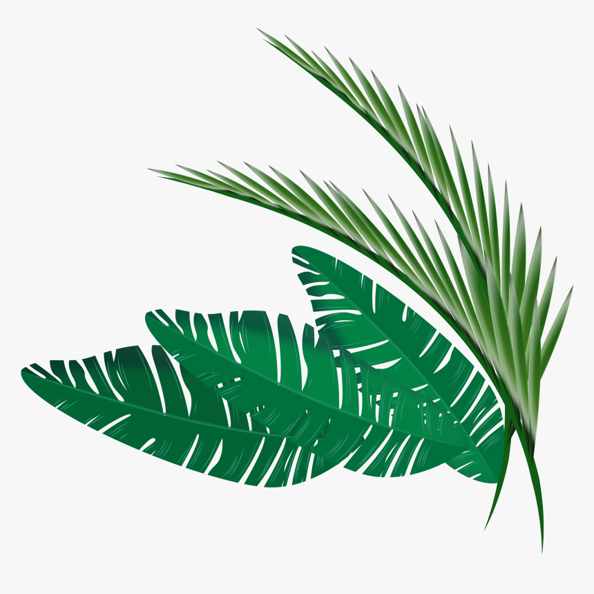 Show Your Heartbeat - Transparent Background Tropical Leaf Png, Png Download, Free Download