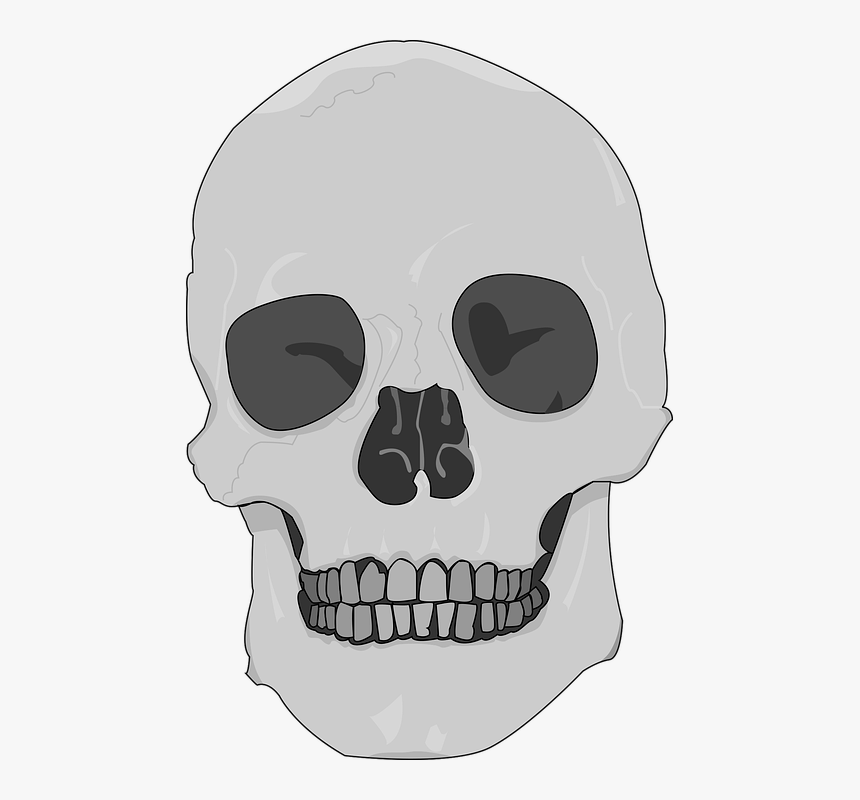 Skull, Black And White Skull, Death, Gothic, Dark - Skull, HD Png Download, Free Download
