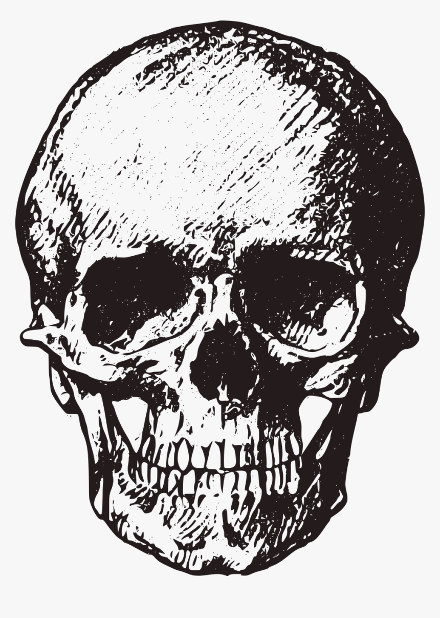 Skull Png Transparent, Png Download, Free Download