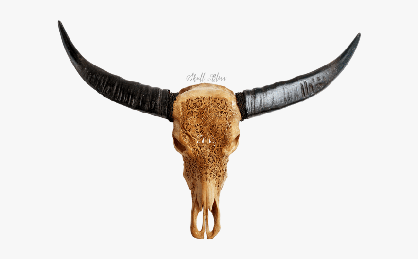 Carved Buffalo Skull - Bull, HD Png Download, Free Download