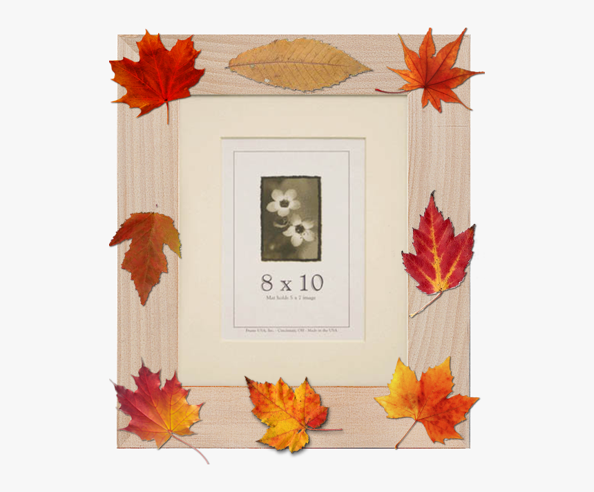 Decorate-it 2" - Fall Leaves Picture Frames, HD Png Download, Free Download
