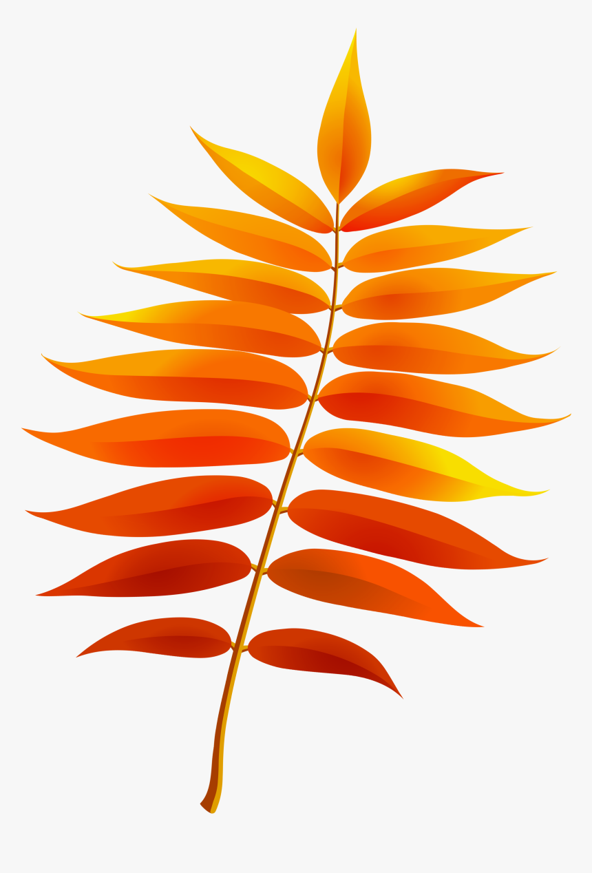 Transparent Fall Leaf Png Image Clipart - Transparent Background Fall Leaf Clipart, Png Download, Free Download