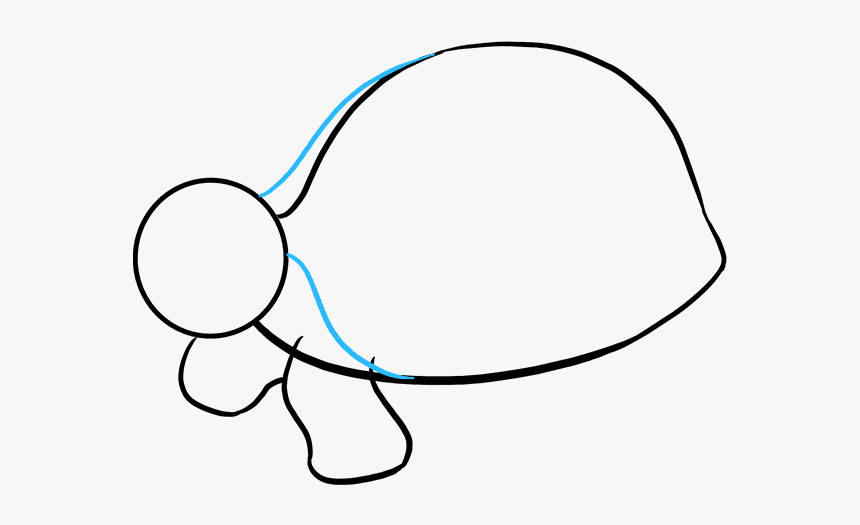 How To Draw Sea Turtle - Line Art, HD Png Download, Free Download