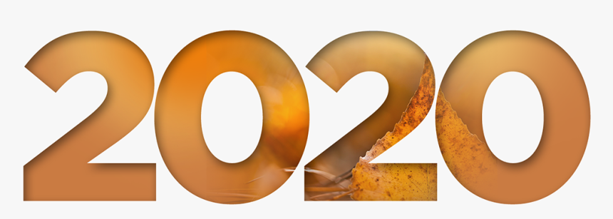 2020 Orange, HD Png Download, Free Download