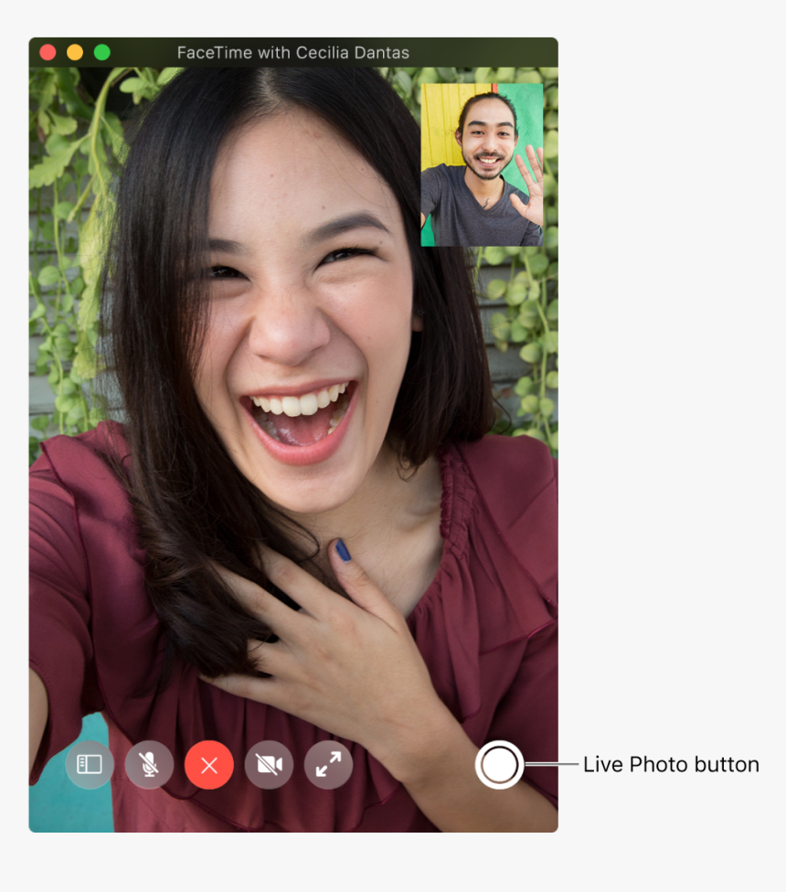Move The Pointer Over The Facetime Window To See The - Facetime, HD Png Download, Free Download