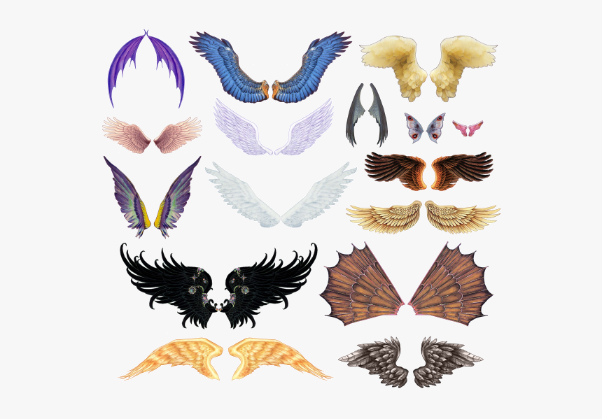 Wings, HD Png Download, Free Download