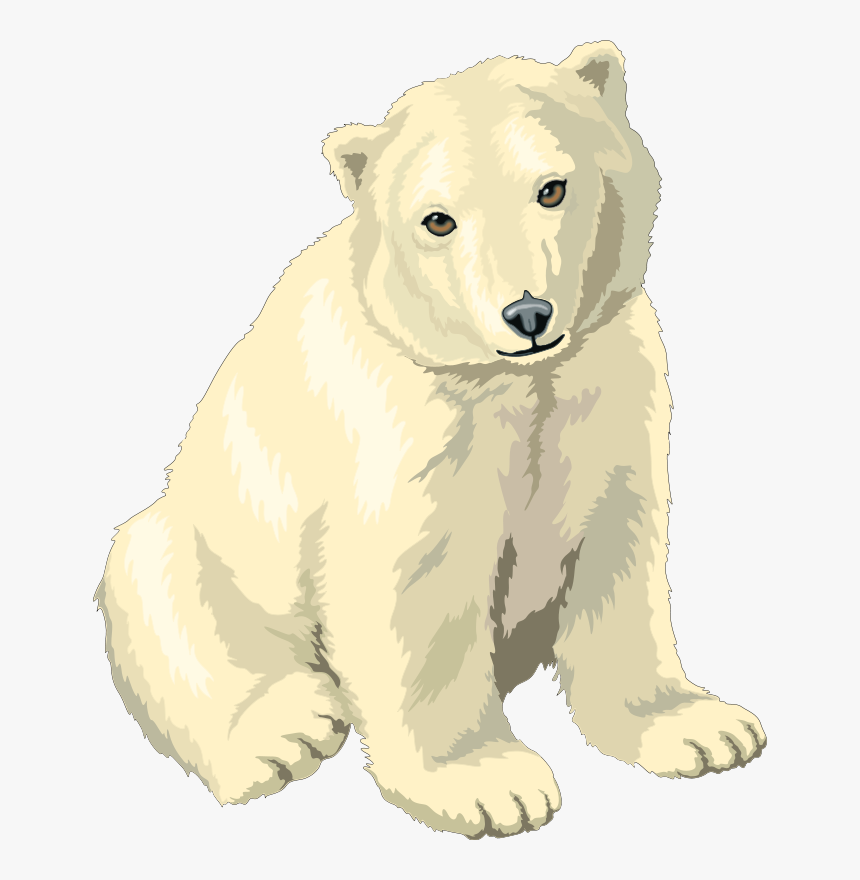 Polar Bear Png Clipart, Transparent Png, Free Download