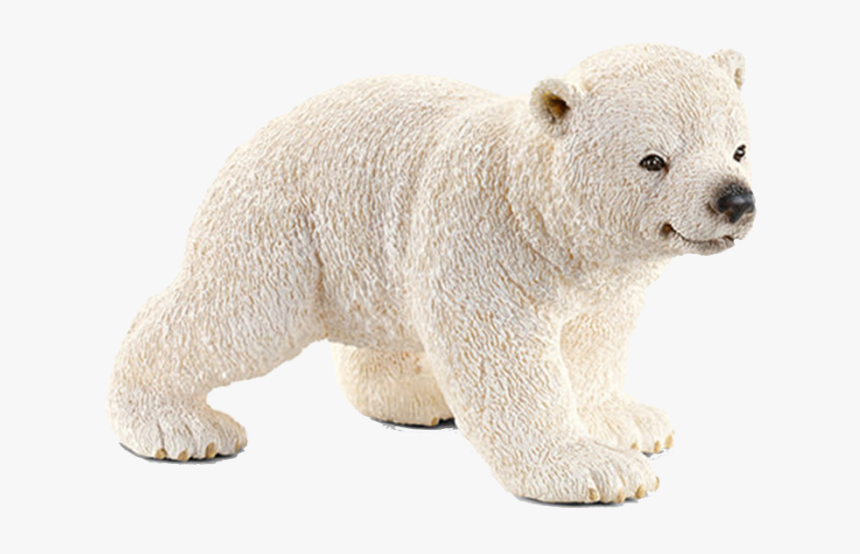 Polar Bear, HD Png Download, Free Download