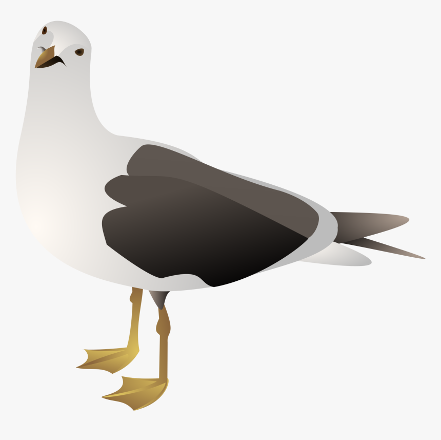 Gulls Clipart , Png Download - Seagull Clip Art Png, Transparent Png, Free Download