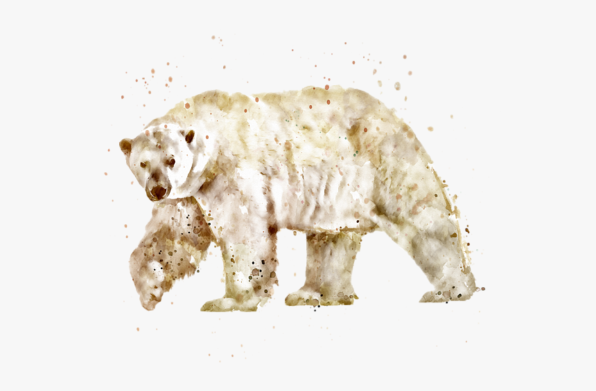 Clip Art Polar Bear Watercolor - Watercolor Bear Transparent Background, HD Png Download, Free Download