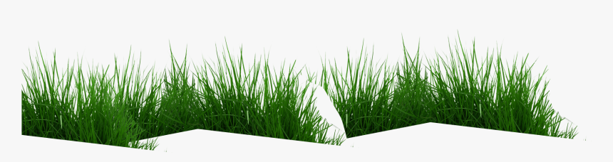 Sweet Grass, HD Png Download, Free Download