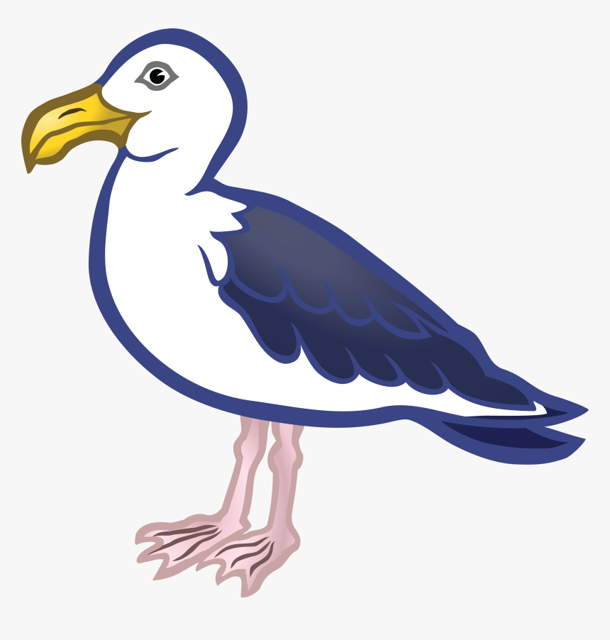 Seagull Png, Transparent Png, Free Download