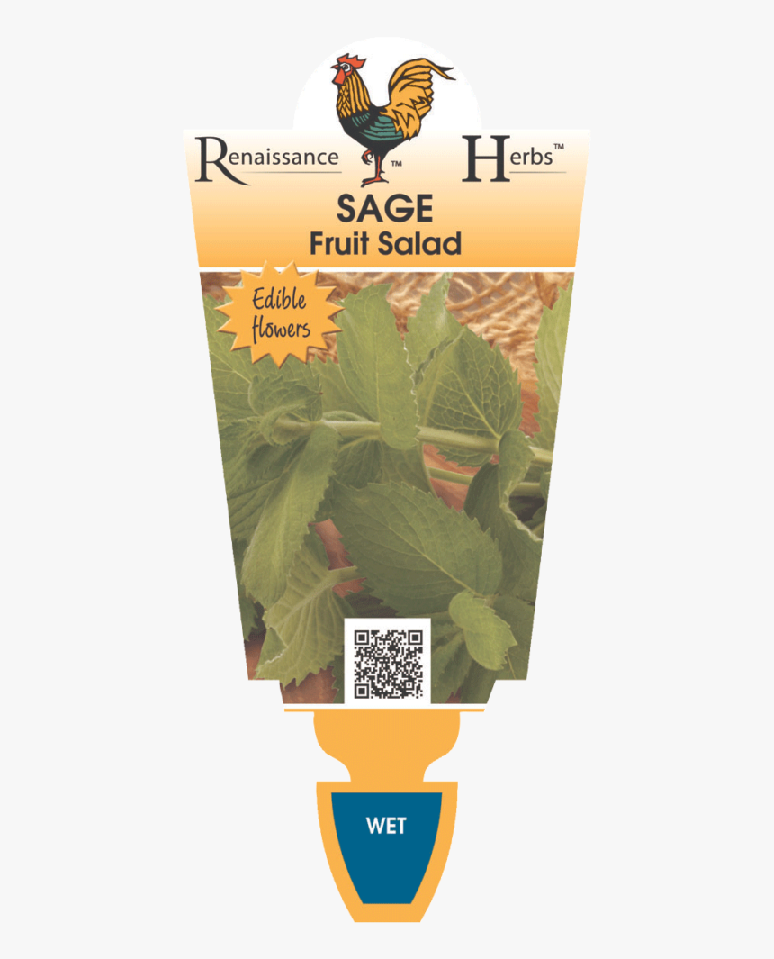 Fruit Salad Png - Perennial Basil, Transparent Png, Free Download