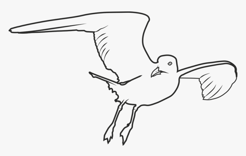 Transparent Seagull Clipart Png - Desenho Da Gaivota Para Pintar, Png Download, Free Download