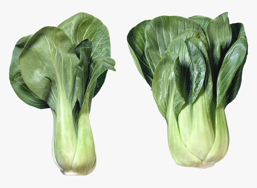 Salad Png Image - Cabbage Varieties, Transparent Png, Free Download