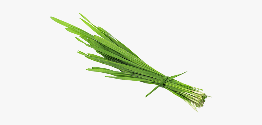 Chives, HD Png Download, Free Download