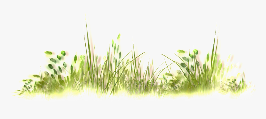 Wild Grass Thick Transparent - Transparent Download Wild Grasses Png, Png Download, Free Download
