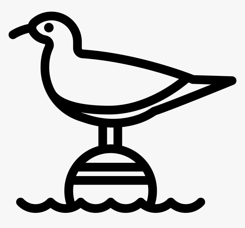 Seagull - Portable Network Graphics, HD Png Download, Free Download