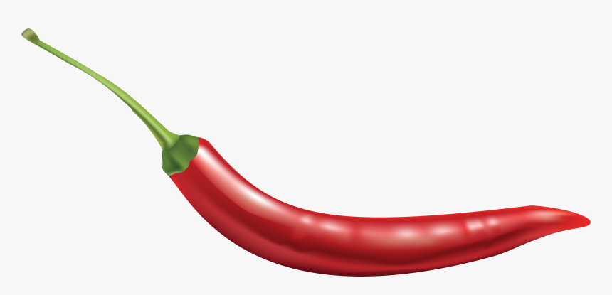 Bell Pepper Plant Png - Transparent Background Chili Pepper Png, Png Download, Free Download