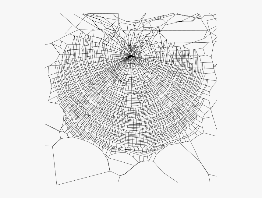 Transparent Spider Web Clip Art - Spider Web Transparent Background, HD Png Download, Free Download