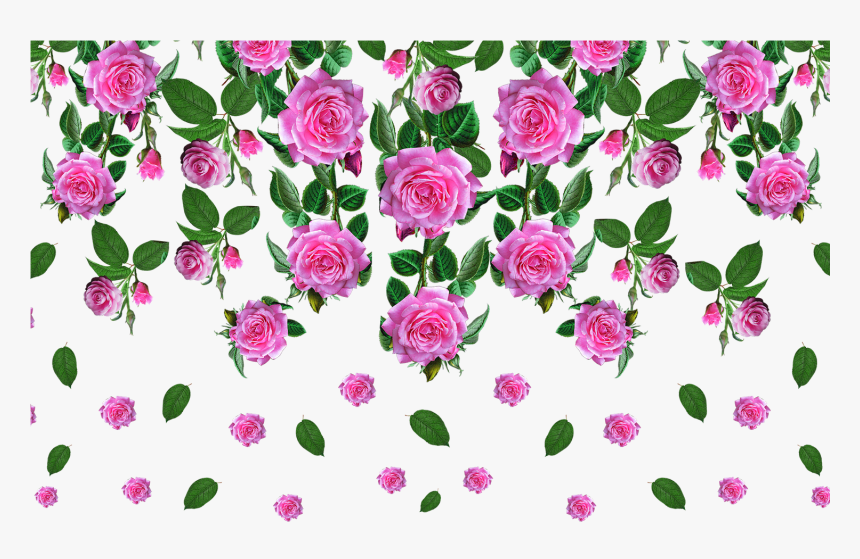 Transparent Floral Pattern Png - Rose Flower Images Png, Png Download, Free Download