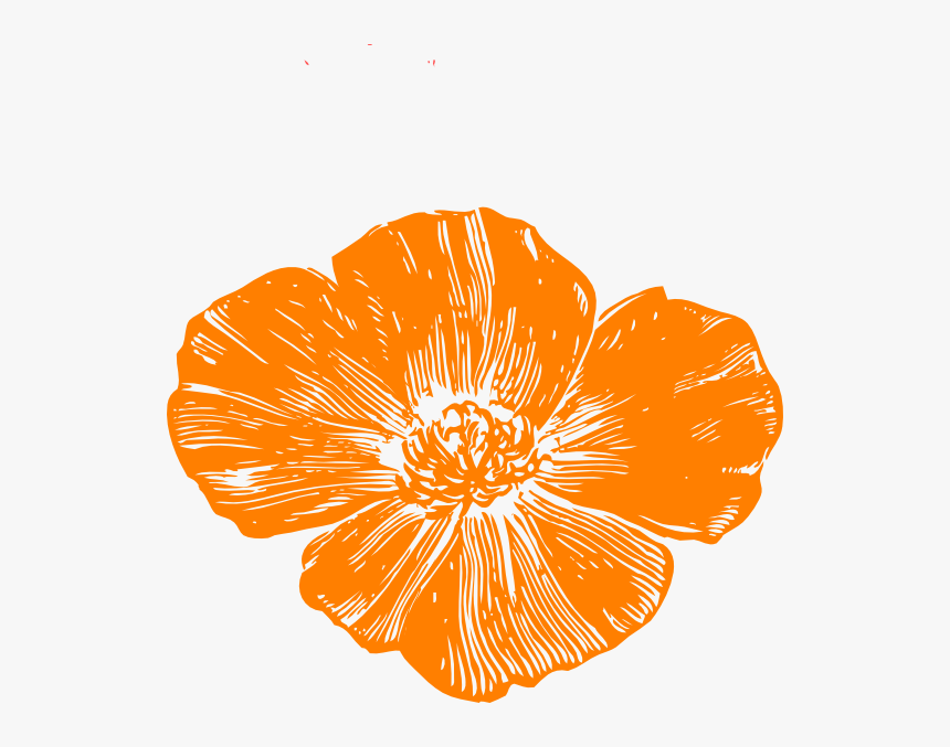 Transparent Hawaiian Flower Vector Png - Orange Poppy Clip Art, Png Download, Free Download