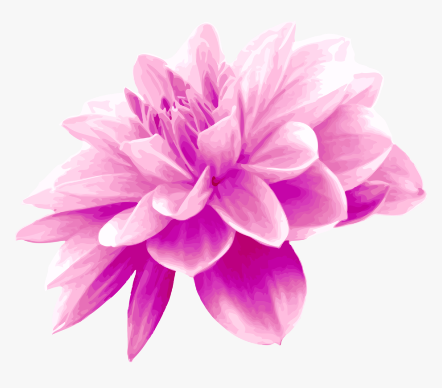 Pink,plant,flower - Light Blue Flower Png, Transparent Png, Free Download