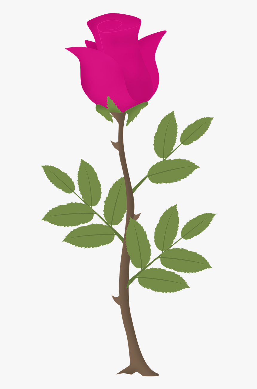 Rosa Flower Roses Free Picture - Vetor Rosa Flor Png, Transparent Png, Free Download