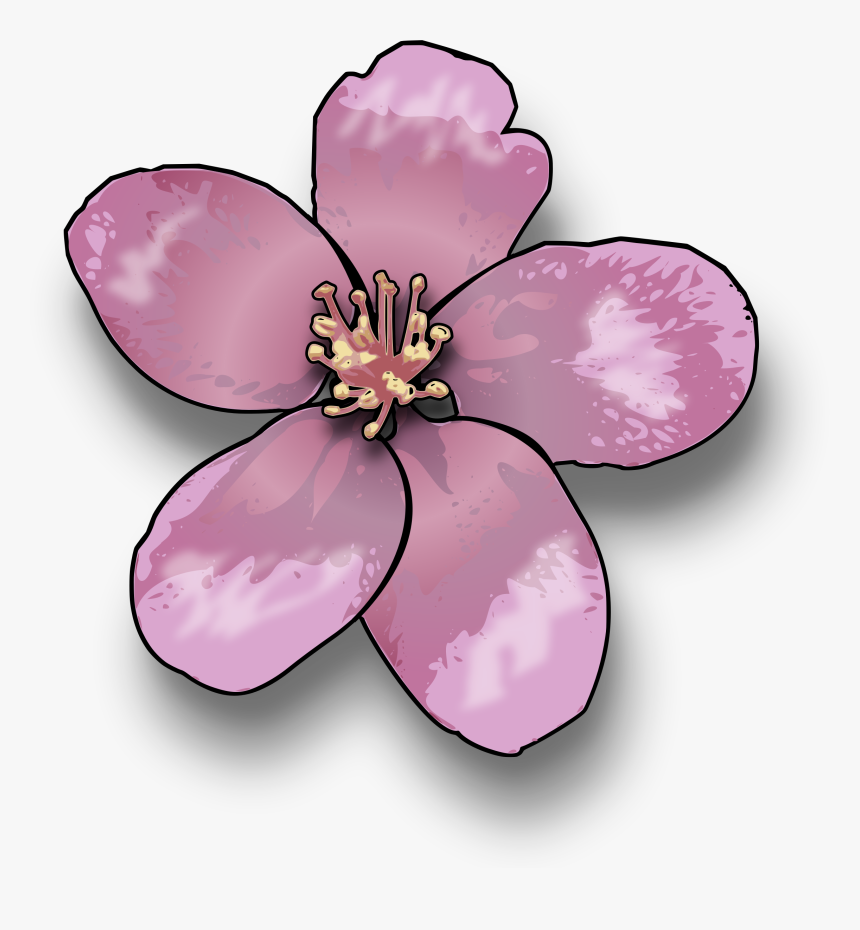 Cherry Blossom Tree Cartoon, HD Png Download, Free Download