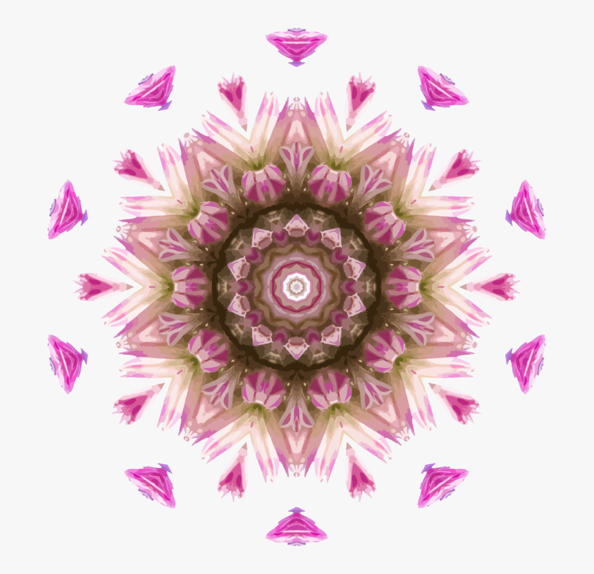 Pink,flower,symmetry - Does A Kaleidoscope Work, HD Png Download, Free Download
