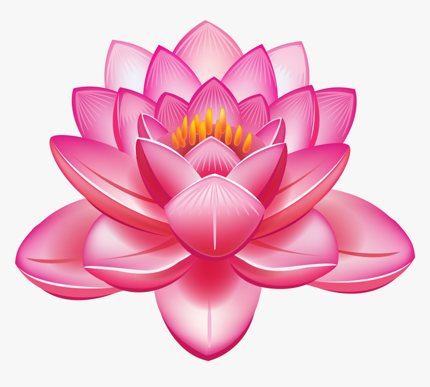 Lotus Flower Vector - Lotus Clipart, HD Png Download, Free Download