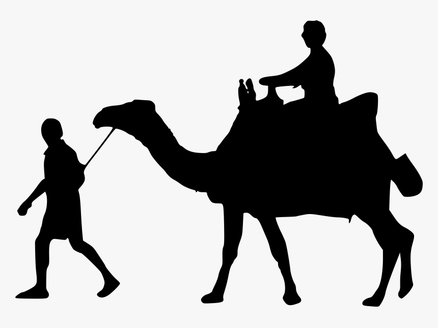 Arabian Camel, HD Png Download, Free Download