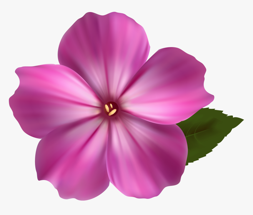 Flower Cliparts Png Pink - Colorful Flower Design Drawing, Transparent Png, Free Download