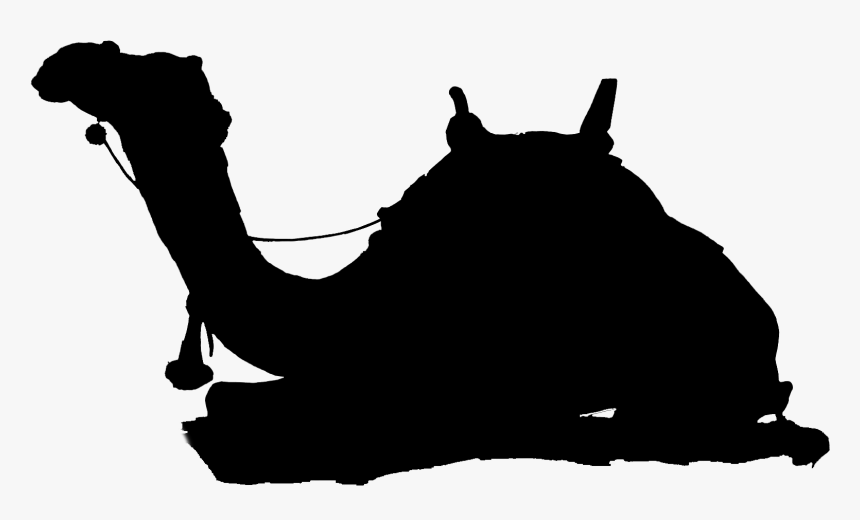 Camel Silhouette - Arabian Camel, HD Png Download, Free Download