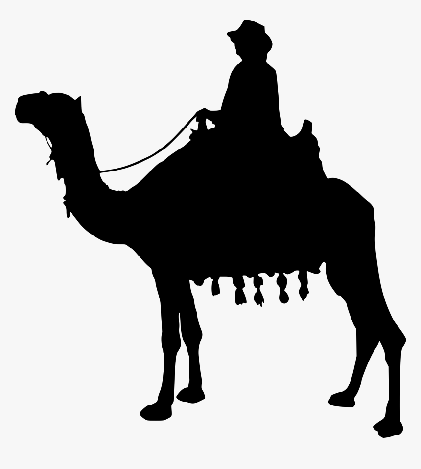 Arabian Camel, HD Png Download, Free Download