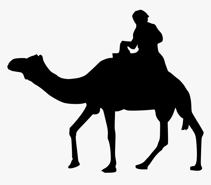 Arabian Camel, HD Png Download, Free Download