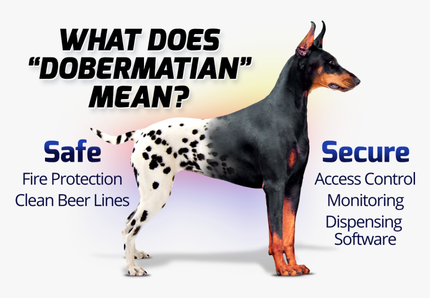 Image - Dobermann - Dobermann, HD Png Download, Free Download