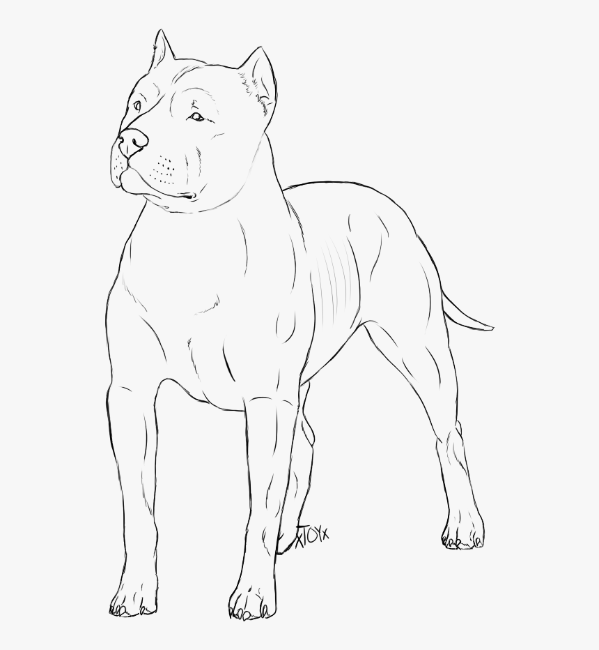 Mean Dog Drawing Crazywidow Info - Line Art, HD Png Download, Free Download