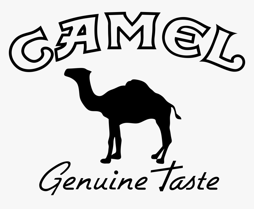 Camel Transparent Logo - Camel Logo Vector, HD Png Download, Free Download