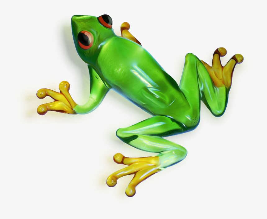 Green Frog Png - Transparent Background Frogs, Png Download, Free Download