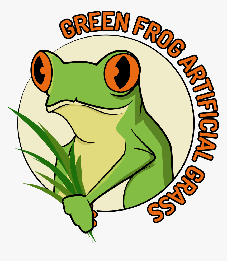 Red-eyed Tree Frog, HD Png Download, Free Download