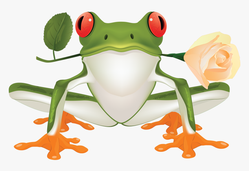 Frog Png Image Free - Green Tree Frog Clipart, Transparent Png, Free Download